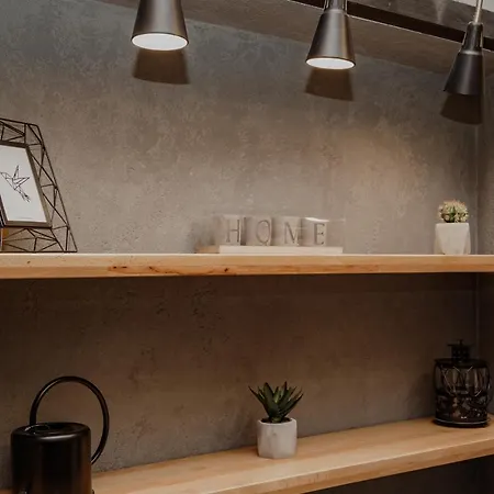 Warm Brick Wall Apartment Lviv